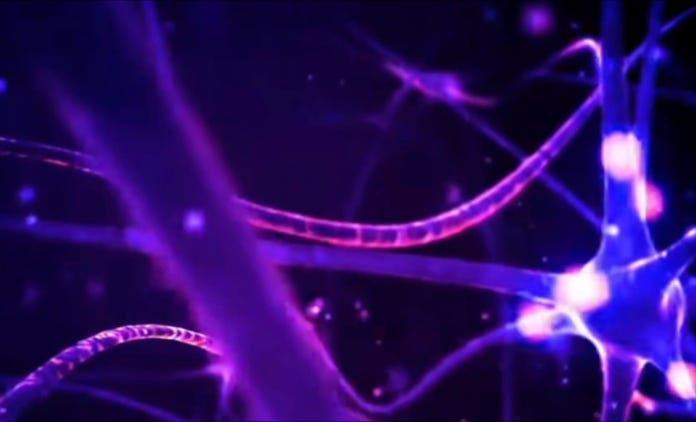 eye interface brain signal