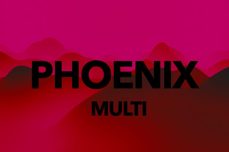 waii power Application PHOENIX multi,Regeneration,Stabilisierung  ,Körperbewusstsein     ,unterstützende Körperfunktionen