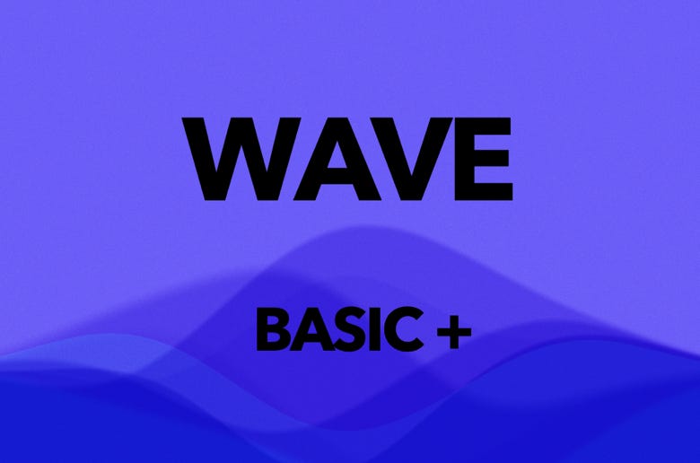 waii power Application WAVE basic, gentle muscle building,flow of movement, body awareness, vital stability