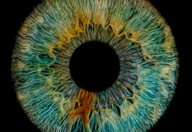eye interface 