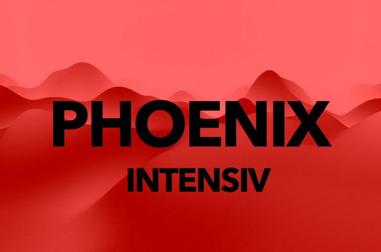 waii power Application PHOENIX intensiv,Regeneration,Stabilisierung  ,Körperbewusstsein     ,unterstützende Körperfunktionen