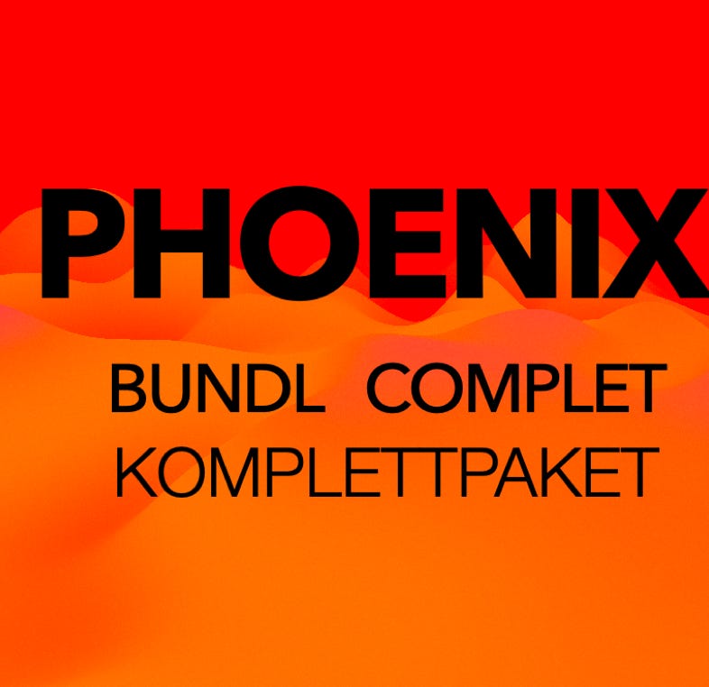 waii power Application PHOENIX,Regeneration,Stabilisierung  ,Körperbewusstsein     ,unterstützende Körperfunktionen